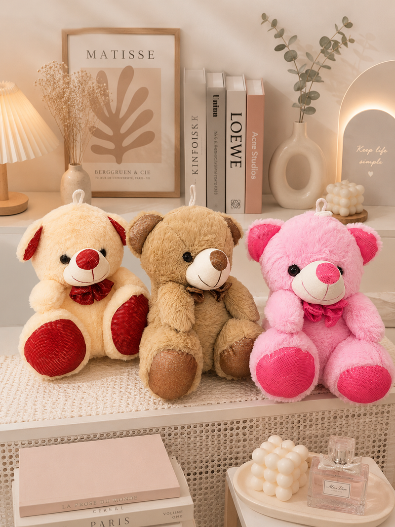 Cute teddy plushie ( 10 inch )